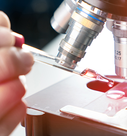 A researcher uses a dropper to view specimen on microscope slide