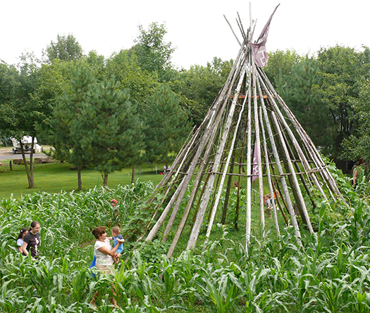A group of people standing in a field of plants with a tee pee in the middle
