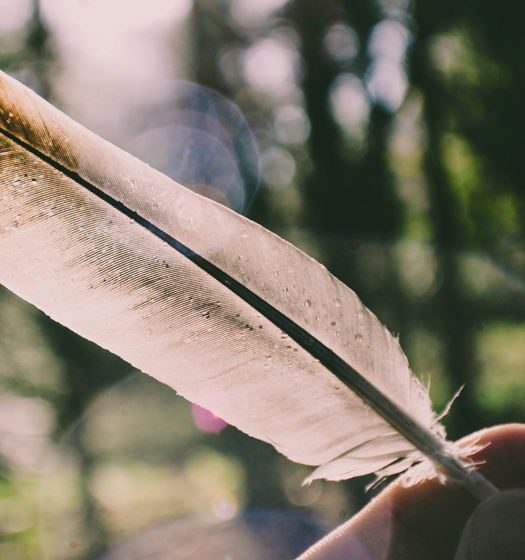 A feather on a finger